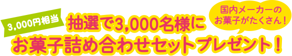 抽選で3,000名様に3000円相当お菓子詰め合わせセットプレゼント！